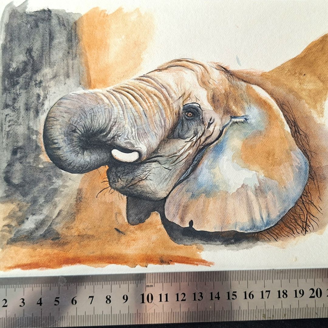 Asian Elephant (Unfinished) by Jeanine Jansen Van Vuuren