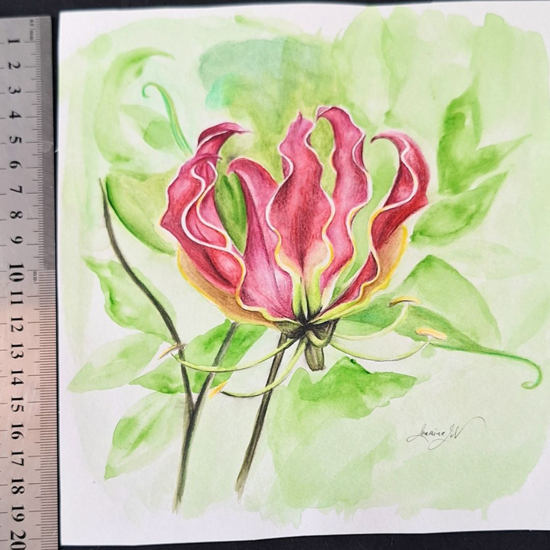 Flame Lily by Jeanine Jansen Van Vuuren