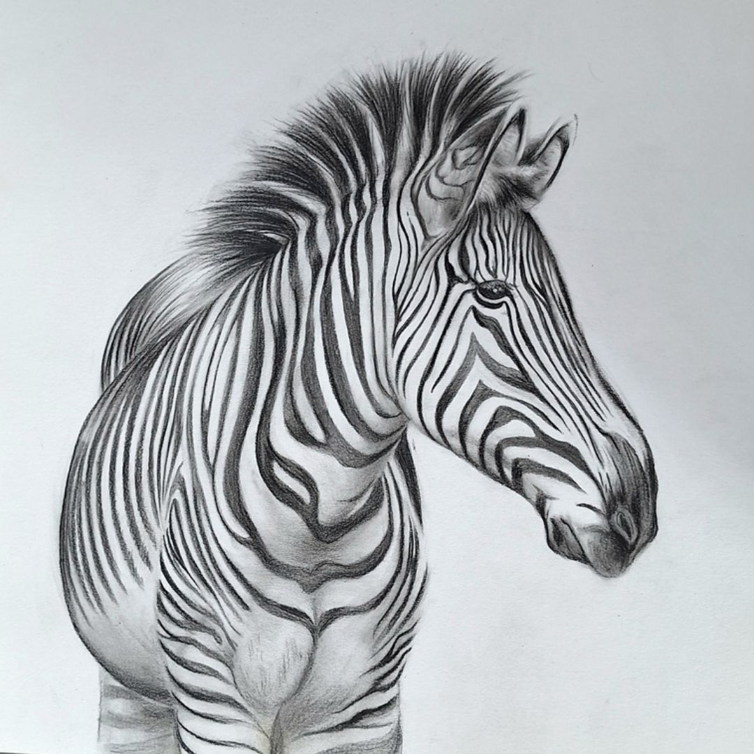 Gentle Stripes by Jeanine Jansen Van Vuuren