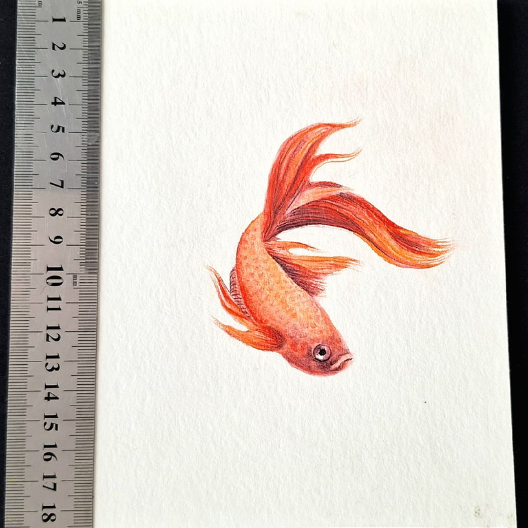 Goldfish by Jeanine Jansen Van Vuuren