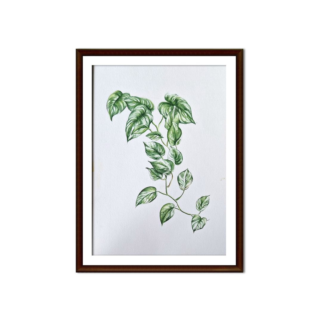 Green Botanical Illustration 3 by Jeanine Jansen Van Vuuren