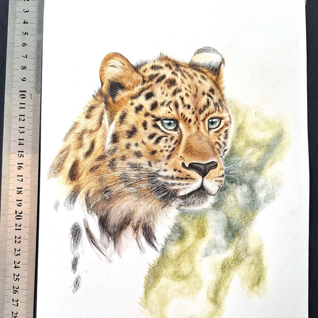 Lurking Leopard (Unfinished) by Jeanine Jansen Van Vuuren