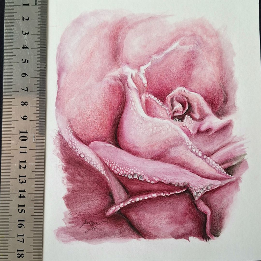 Pink Rose by Jeanine Jansen Van Vuuren