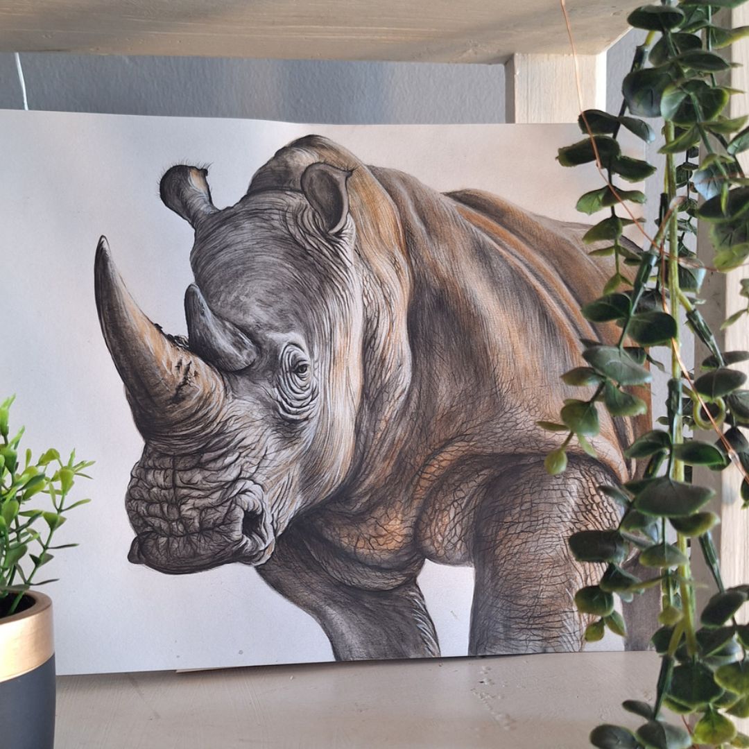 Rhino by Jeanine Jansen Van Vuuren