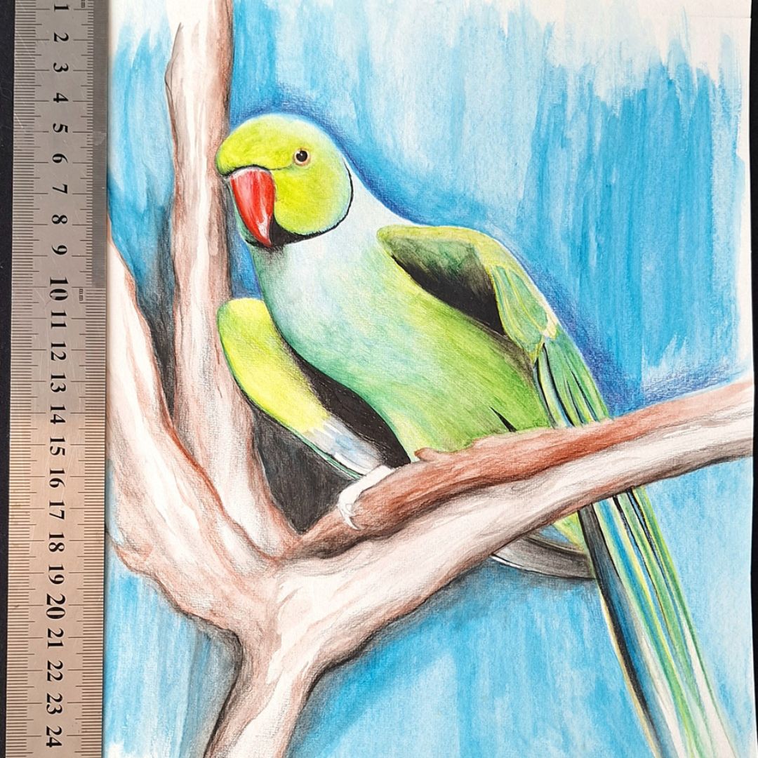 Ring-Necked Parakeet (Unfinished) by Jeanine Jansen Van Vuuren