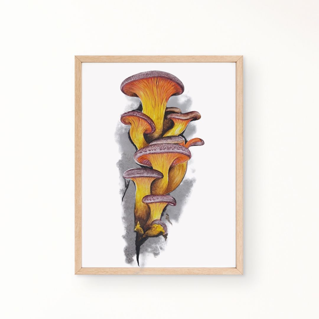 Sunset Mushrooms by Jeanine Jansen Van Vuuren