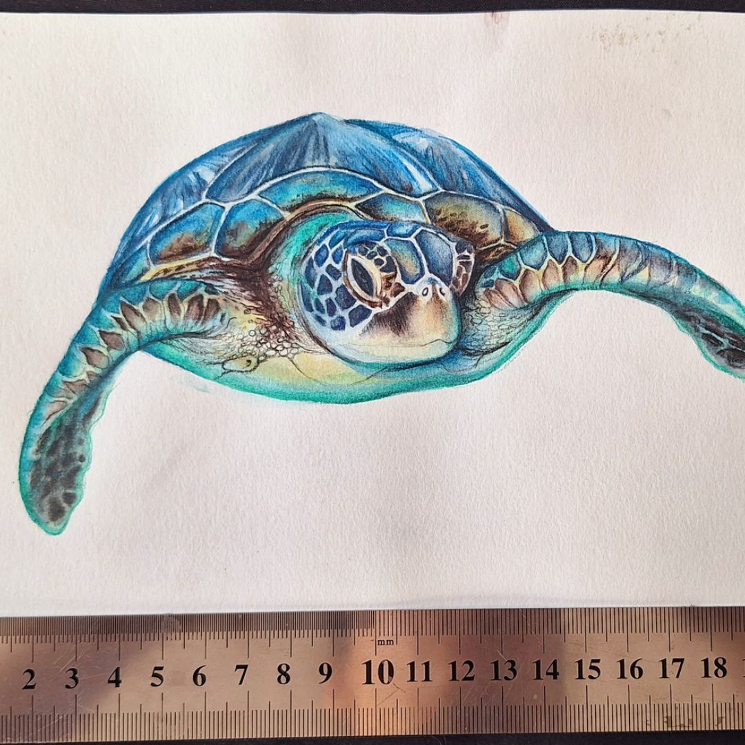 Wandering Sea Turtle by Jeanine Jansen Van Vuuren